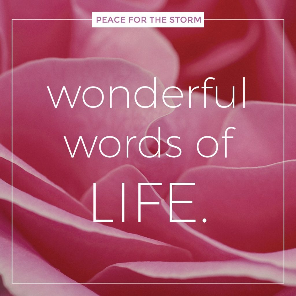 Wonderful Words Of Life Peace For The Storm